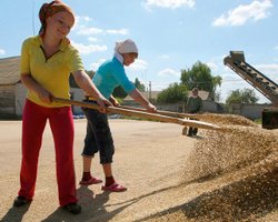 Эмбарго или членство в Евросоюзе: в Польше придумали, как Украине решить зерновой кризис