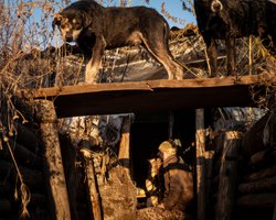 ВС РФ продвинулись дальше Ласточкиного и на юге Авдеевки, — DeepState (карта)