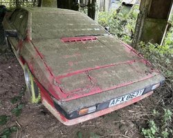 Как у Джеймса Бонда: знаменитый британский суперкар 80-х простоял 30 лет в сарае (фото)