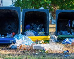 Пару на дорозі зупинити сміттєві баки: далі сталося "зовсім непередбачуване" (відео)
