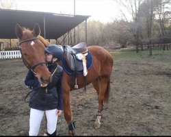 Згоріли живцем: Російські війська знищили під Сєвєродонецьком кінний клуб "Віртуоз" (фото)