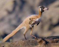 Весом меньше 1 кг: самый маленький динозавр в мире вынудил переписать эволюцию
