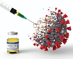 Вирус адаптируется. Что беспокоит ученых в новой мутации коронавируса