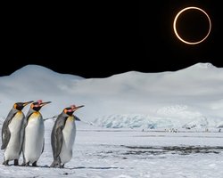 На Землю чекає затемнення "вогняного кільця": найкращі місця для спостереження дістануться пінгвінам