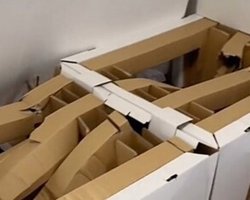 Ізраїльські спортсмени зламали антисекс-ліжко на Олімпіаді в Токіо (відео)