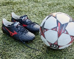 В день выборов президента в Украине могут отменить футбол