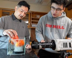 На 90% чистіше: розроблено революційний спосіб миття фруктів і овочів (відео)