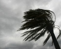 Из-за урагана Сэнди на востоке США эвакуированы сотни тысяч человек