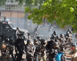 В США в ходе беспорядков пострадали около 60 полицейских