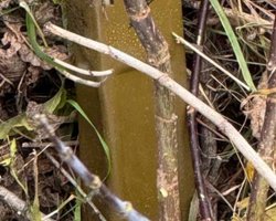 Уже в Сумській області: "Флеш" показав, як ЗС РФ роблять "Шахеди" ще смертоноснішими