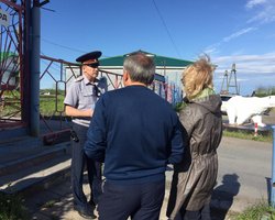 У Денисовой в российской колонии приняли заявление на встречу с Сенцовым