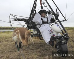 Журавль, летавший с Путиным, временно живет с петухами и курицами