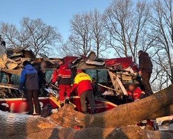 ДТП во Львовской области: международный автобус въехал в дерево, пострадали пассажиры