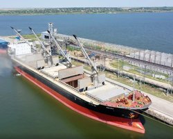 В ООН подтвердили работу зернового коридора в Черном море еще на один день