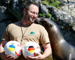 В немецком Кельне морской лев предсказал победу Украины в матче против Германии на Евро-2016