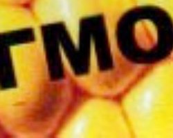 В Украине усилят контроль за импортом зерна с ГМО в 2011 г.