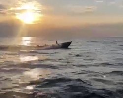 "Будет захватывающе": СБУ опубликовала кадры с надводного дрона, атаковавшего Крымский мост (видео)