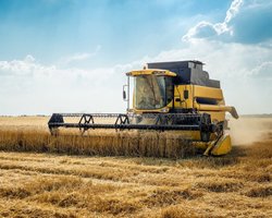 У рейтингу найбагатших людей України журналу Фокус — 12 бізнесменів-аграріїв