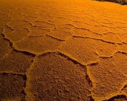 НАСА: средняя температура Земли и океана побила все рекорды