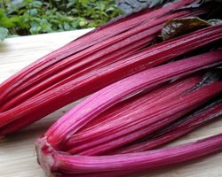 Сюжет дня. Испанские огурцы оправданы. Под прицелом - свекла