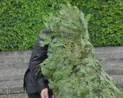 Януковича чуть не сбило венком (фоторепортаж)