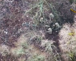 Украина взяла в плен двух солдат КНДР: подробности операции от The Washington Post