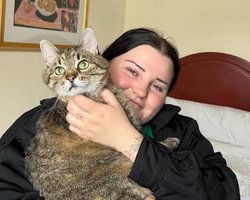 "Мурлычу под Teresa & Maria": кот Степан поздравил alyona alyona с "бронзой" на Евровидении