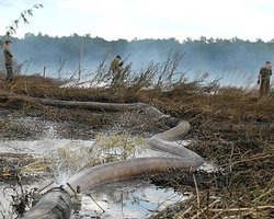 Гореть по-русски. Готова ли Украина к лесным пожарам