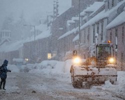 Заморозки в Европе: около 80 погибших 