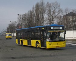 В ГАИ хотят вдвое увеличить штраф за помехи автобусам