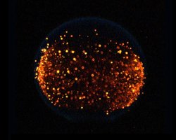 NASA вирішило вперше влаштувати пожежу на Місяці: вогонь там поводиться інакше (відео)