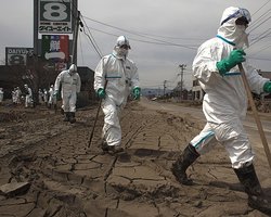 Океанское дно вблизи АЭС "Фукусима-1" покроют слоем цемента