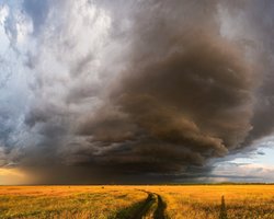 По всій території України: в "Укренерго" повідомили про графіки відключень на завтра