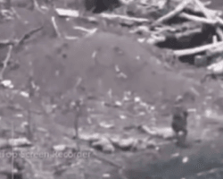 Россияне расстреляли украинских военнопленных под Запорожьем: в ОГП начали расследование