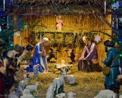 Переховувався у різдвяній шопці: в Італії випадково знайшли втікача у несподіваному місці