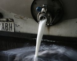 Онищенко заявил, что Литва политизирует ситуацию с молочными продуктами