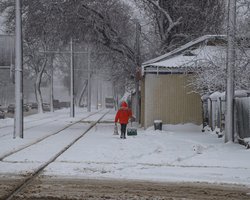 Морози в Україні сягнуть -20, а до кінця тижня очікується потепління: прогноз погоди від Діденко