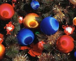 В Раде установили елки