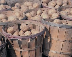 Правительство отменит ввозные пошлины на ряд продуктов питания 