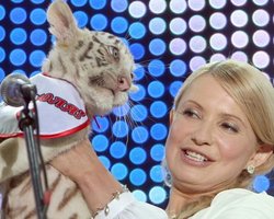 Тимошенко назвали лучшим блогером среди всех кандидатов в президенты