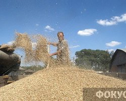 Янукович ветировал закон о продаже квот на экспорт зерна