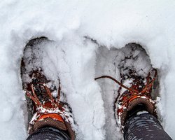 Украину завалит снегом и накроет морозами до -23 градусов: синоптик предупредила о непогоде