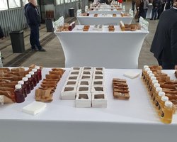 Пресс-конференция Зеленского: фоторепортаж из ангара "Антонова"