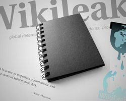 Wikileaks обнародовал секретные документы правительства США