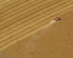 Соратник Мурси предупреждает о дефиците импортного зерна, основным поставщиком которого является Украина