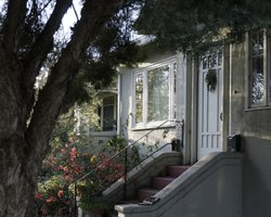 "Сплять на килимку": подружжя виявило на ґанку власного дому неочікуваних гостей (фото)