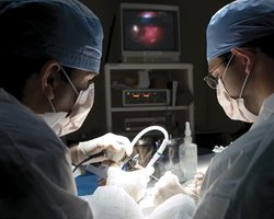 Разработано портативное устройство для диагностики рака