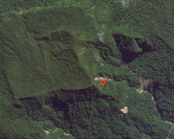 Посреди джунглей в Перу стоит квадратная гора: под пологом леса скрывается нечто древнее (видео)