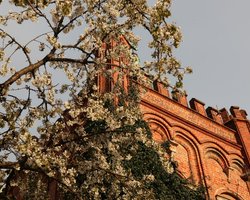 Фінський антициклон Quirin принесе потепління: Діденко розповіла, якою буде погода завтра