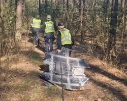 Гуляв по лісу і натрапив на дрон: у Києві знайшли "Шахед", що не вибухнув (фото)